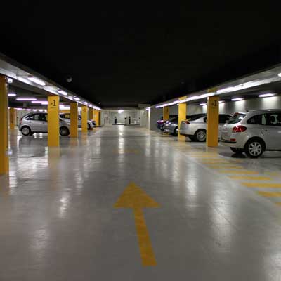 Bats in Parking Garage